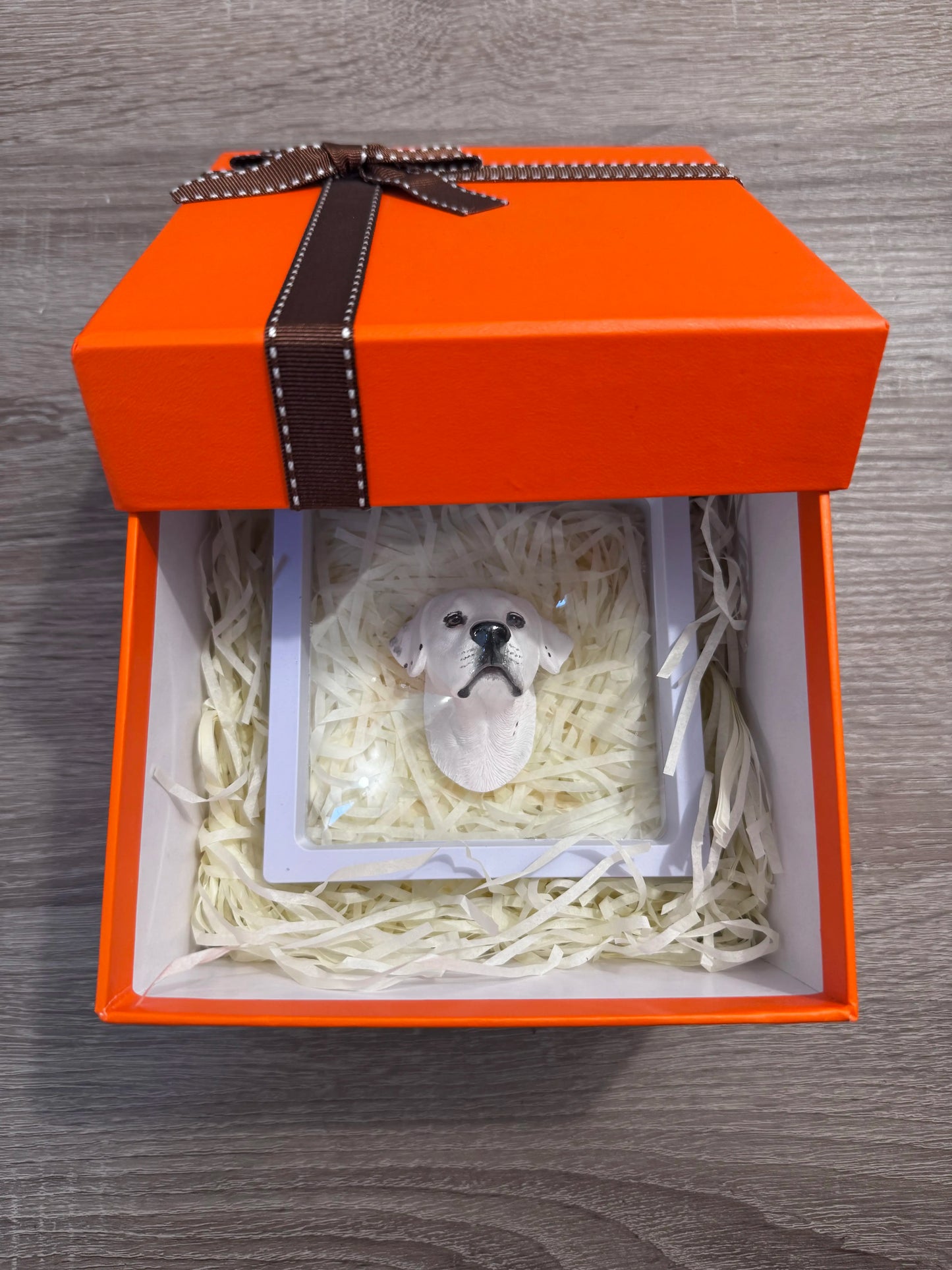 Boîte cadeau - Univers des Animaux