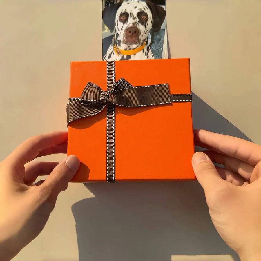 Boîte cadeau - Univers des Animaux