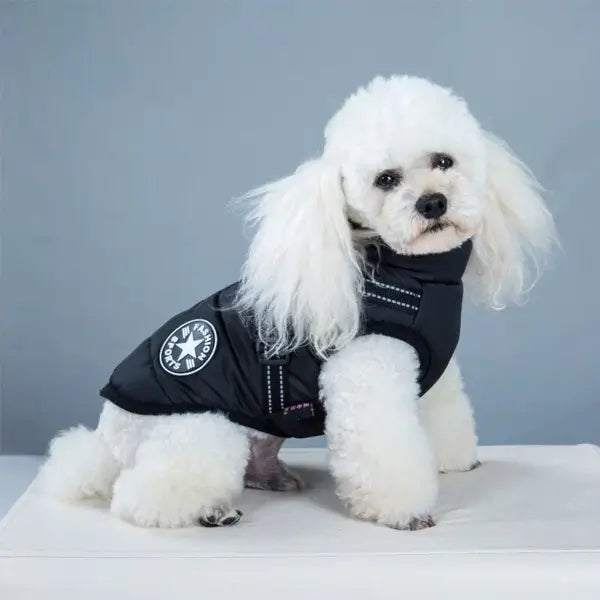 MANTEAU POUR CHIEN AVEC HARNAIS INTÉGRÉ - Elixirios