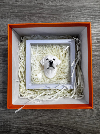Boîte cadeau - Univers des Animaux